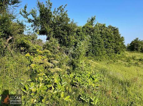 Kirazlıyayla Köyünde Villa İmarlı 1606m2 Satılık Arsa