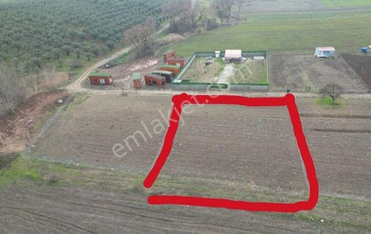 Bursa Mudanya Ülkü Köyde Fırsat Hobi Bahçelik Tarla