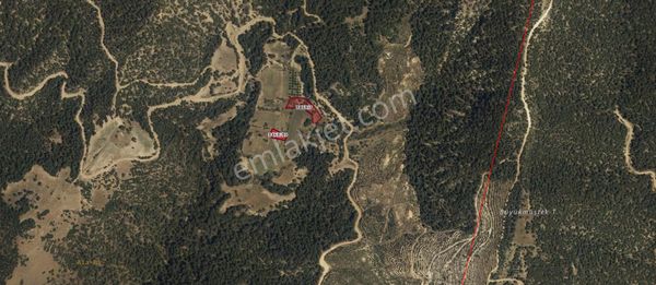 Ayşah'tan 175.000 Tl'ye 2 Adet Satılık Tarla