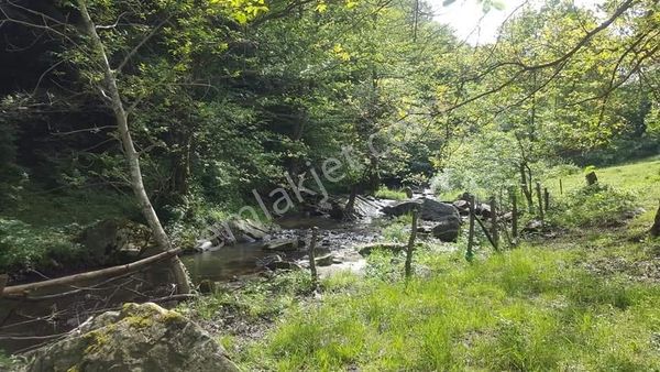 Demirköy Merkez Orhaniye Mah. Satılık Arsa 765 M2