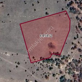 Asel'den H. Azizler Villalık Orman Dayalı 5972 M2'hisse 2414 M2 Satılık