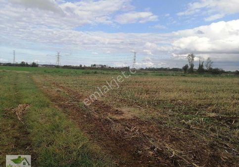 Samsun Tekkeköy Çinik Te Satılık 10 Dönüm Tarla