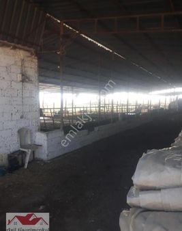 Aydın Sultanhisar Atça Yeni Pazar Yoluna Cephe İçinde Ev Depo Olan 4000 M2 Mükemmel Bir Arazi