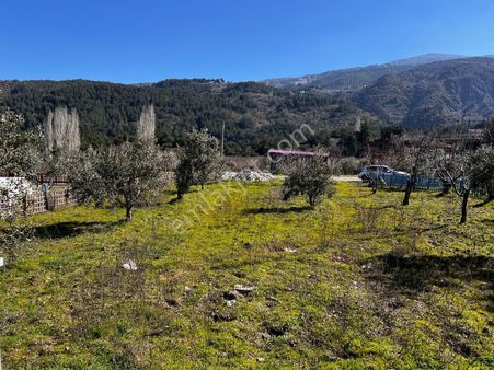 Spilin Eteğinde Satılık Kooparatif Arazizi