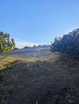 Çanta Konutlar Da 5 Adet 220m2 Parsel