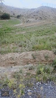 Denizli Çameli Cumaalanı Mahallesinde Kupon Tarla