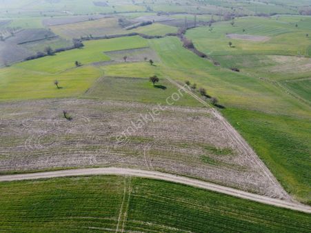 Era Söz Den Balıkesir Kepsut Osmaniye De Satılık Tarla