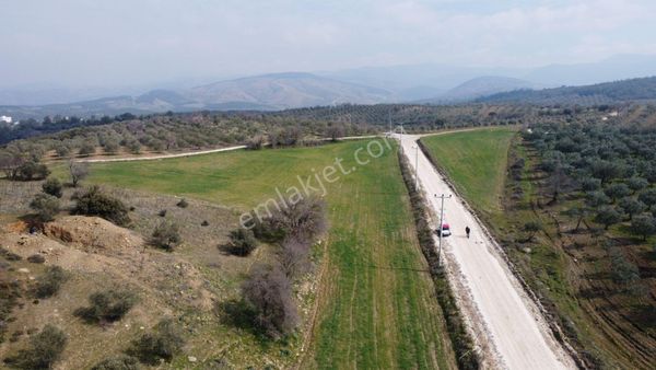 Akhisar'a 3 Km Mesafede Kümeslik Ticari Arazi (emin'den)