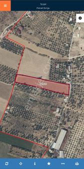 İzmir Torbalı Yola Cepheli Satılık Tarla