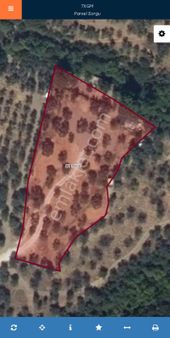 İzmir Bayındır Satılık Zeytinlik