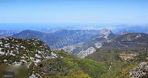 Gazipaşa İn En Cazip Tarlası 49 Dönüm Sadece 6.750.000tl