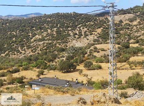 Ayvacık Paşaköyde Asfalt Yola Bir Parsel Köy Girişinde Tarla..