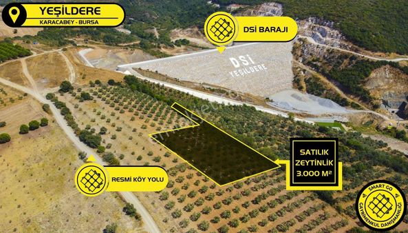 Yeşildere'de 3.000 M² Satılık Tarla