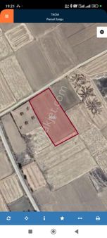 Yatırım Fırsatı! Afyonkarahisar Dazkırı Aşağıyenice Köyünde Satılık Tarım Arazileri