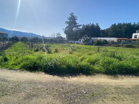 Muğla Köyceği Beyobası Mahallesinde Satılık 1500 M2 Tarla