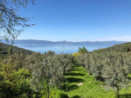 İznik Mustafalı Mah. Full Göl Manzaralı Konut İmarla Arsa