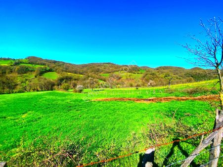 Yenice Çalköy Anayola 2.parsel 4.650m2 Müstakil Par.satılık Arsa