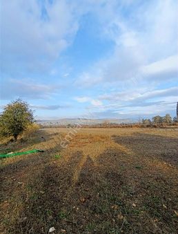 Nursima Emlak'tan Satılık Uygun Fiyata Tarla