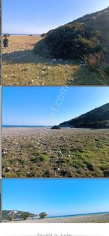 Koyuncu Group Tan Urla Yagcılar Mah Denize Sıfır Satılık Zeytınlık