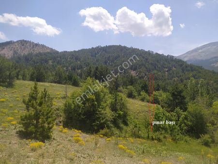 Yatırımlık Mükemmel Fırsat Arazi