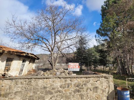 Acil Satılık Ahşap Evli Bag Yol Su Elektirik Var