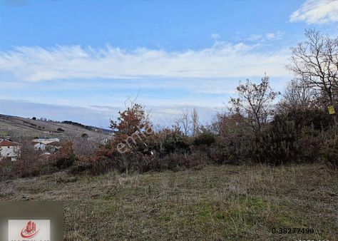 Ay Emlak'tan Armutlu Mecidiyeköy De Köyiçi Mevkii 4.500 M2 Tarla