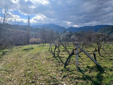 Manisa Ahmetli Dereköy Mah2000m² Satılık Bahçe