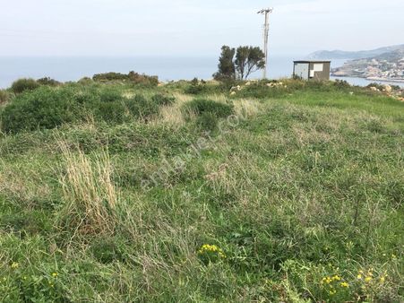 Barış Emlaktan Satılık Tarla