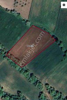 Uşak Altıntaş Köyü Satılık 1986 M2 Tarla