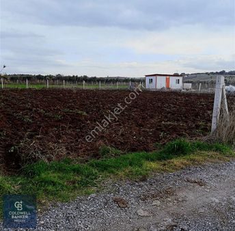 Menderes Oğlananası' Nda Doğayla İç İçe Satılık Tarla