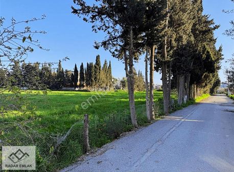 Seferihisar Doğanbeyde Tek Müstakil 4+1 Tripleks Villa