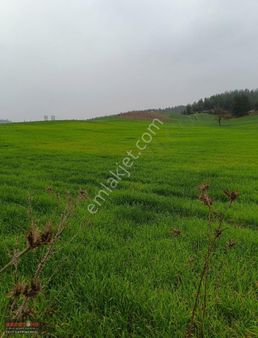 Yeni Stadyuma Yakın Konumda Villa İmarlı Arsa