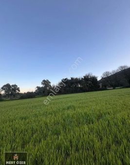 Muğla Milas Kurudere'de Düz Alana Sahip 4854 M2 Satılık Tarla