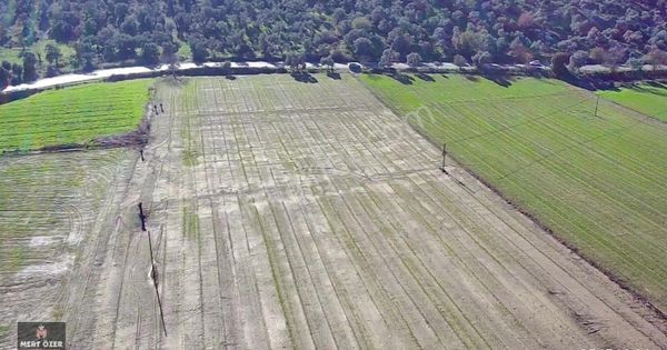 Muğla Milas Köşk'de Anayola Sıfır 11.456 M2 Satılık Köyiçi Tarla