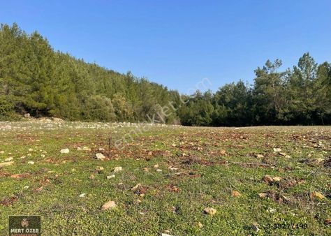 Muğla Milas İkizköy'de Doğayla İç İçe 3653 M2 Satılık Düz Tarla