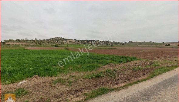 Musaözü Mh. Köyaltı Mevkiinde Satılık Tarla Foresta Gayrimenkul'den