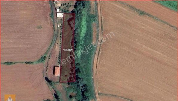 Sarısungur Mh. Satılık Tarla Foresta Gayrimenkul'den