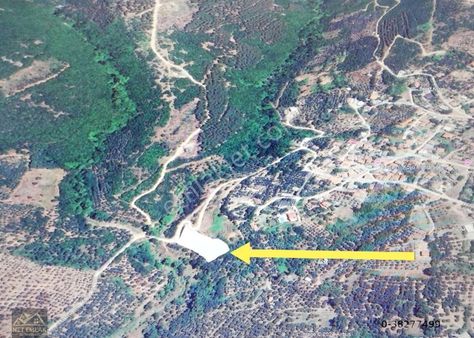 Erdek Hamamlı Satılık Zeytinlik 2492m2