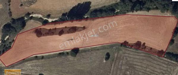 Sarayören Köy İçine 850 Metre Mesafede Verimli Satılık Tarla Foresta'dan
