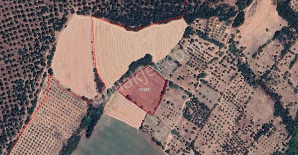 Bandırma Mahbubeler Köyü Satılık Tarla