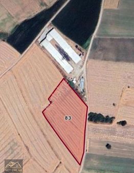 Bandırma Mahbubeler Köyü Satılık Tarla