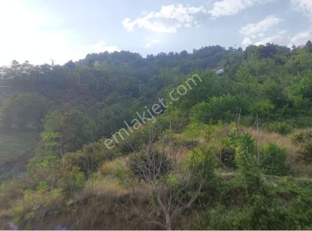 Öztürkler Gayrimenkulden Trabzon Akcaabat Darıca Orta Mahallede Satılık Arsa