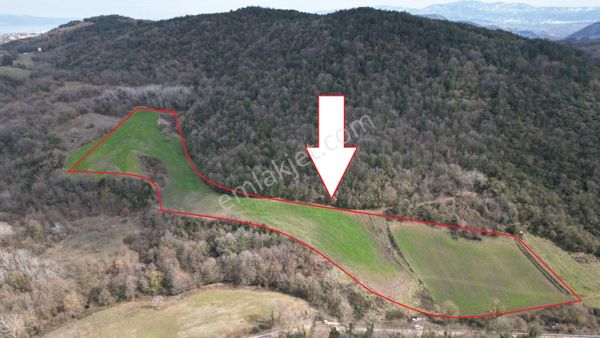 Yalova Altınova Tavşanlı Satlık 21.236 M2 Tarla