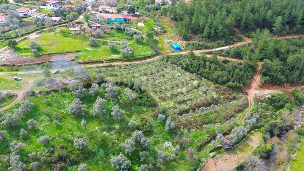 Yatağan Cazgırlarda Köyiçi Dere Kenarı Konut İmarlı Arsa