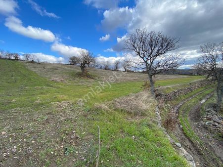 Bilginoğlu Emlak'tan Maldan Mahallesinde Satılık Tarla