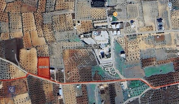 Cb Gold'dan Harika Lokasyonda Bağ Evlik Zeytinlik Asfalt Üstü