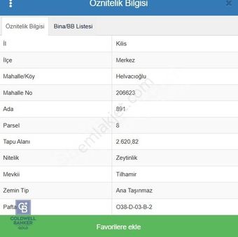 Cb Gold'dan Asvalt Üzeri Harika Zeytinlik