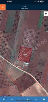 Cb Gold'dan Oylumda Satılık Tarla