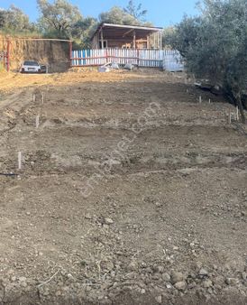 Turgutlu Satılık Hobi Bahçesi Yayla Mah 900m2 İçinde Zeytin Ve Çeşitli Meyve Ağaçları Vardır