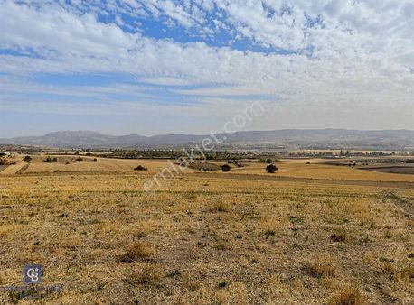 Hobi Bahçesi Yapımına Uygun, Projesi Hazır Tek Tapu Tarla